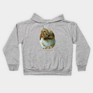 Wash and Brush up Rabbit Kids Hoodie